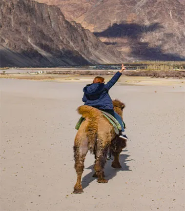 Camel Safari in Nubra Valley, Ladakh