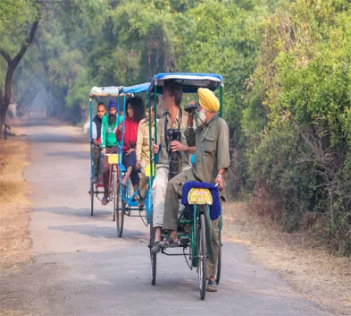 Rickshaw Ride in Amritsar