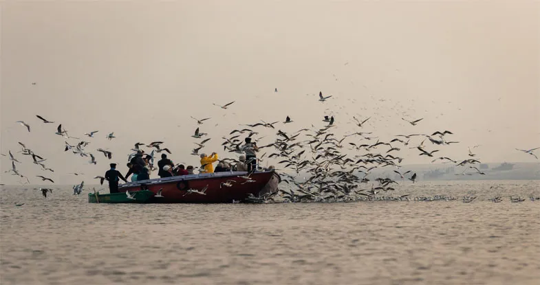 Boating on the way to Ramnagar Fort, Varanasi Image