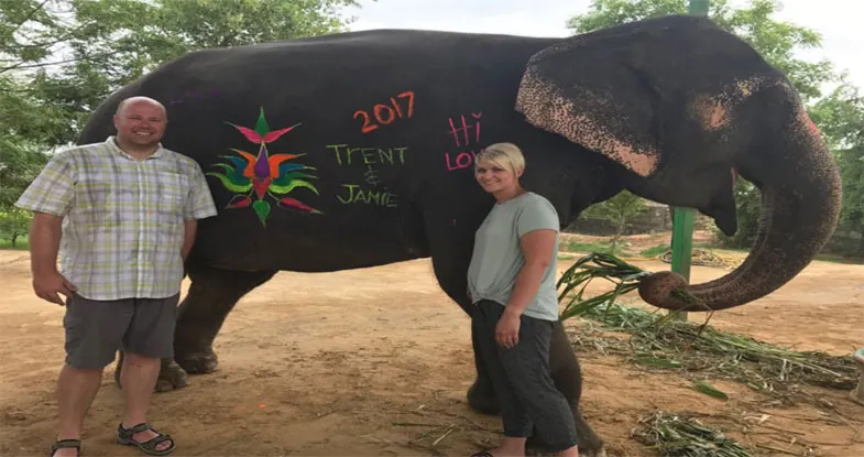 Paintings on Elephants at Elefantastic, Jaipur Image