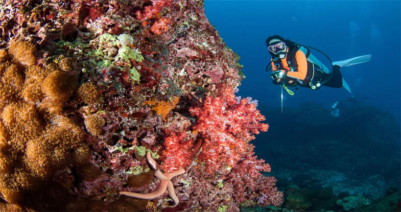 Scuba Diving, Andaman Image