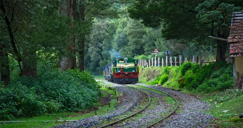 Toy Train Ride in Ooty Image