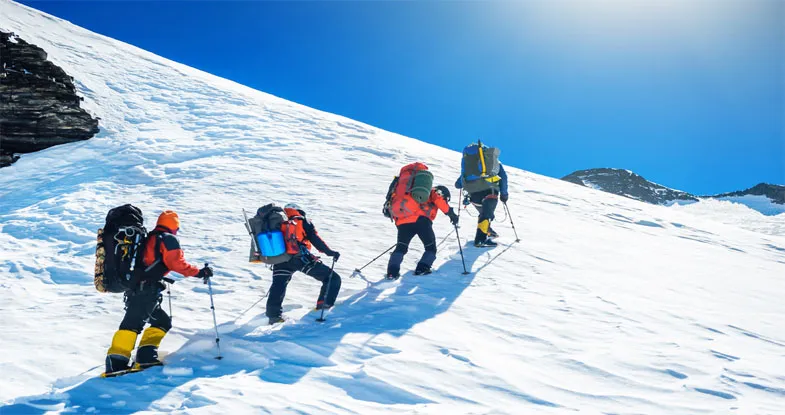 Group of tourists trekking in Gulmarg Image