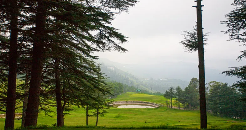 Naldehra Golf Course, Shimla Image